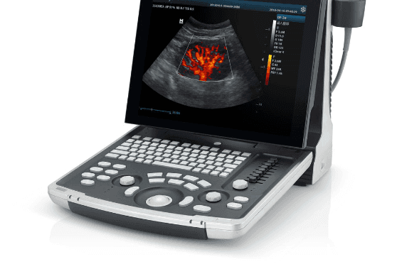 Veterinär-Ultraschall